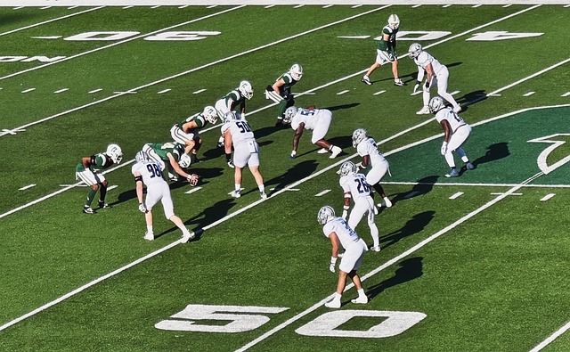 纳塞尔的双 纳塞尔的双