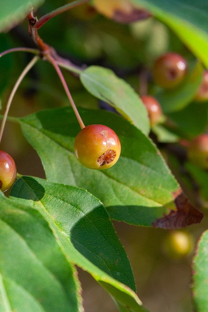 名职业球员 名职业球员