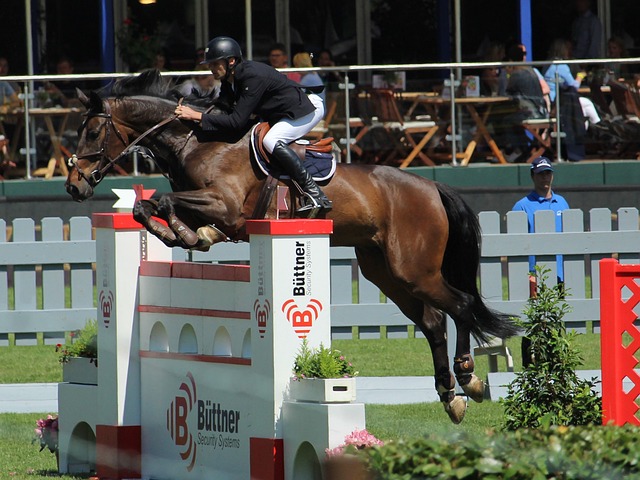 中國球員武磊個人資料.