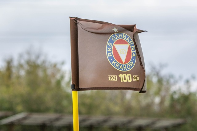 这一基本生 这一基本生