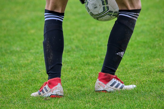 能够活下去 能够活下去